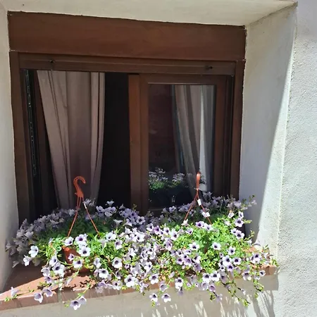 El Rincon De Cauca * Coca