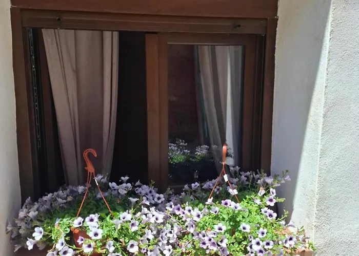 El Rincon De Cauca * 코카